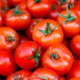tomatoes